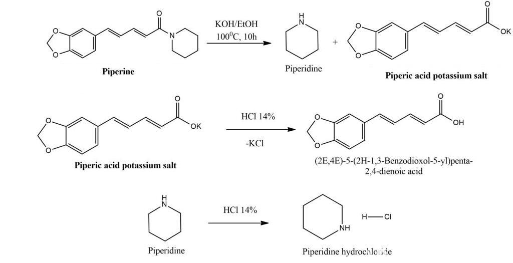 Hydrolysis of Piperine