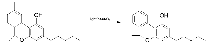 Synthesis of cannabinol from tetrahydrocannabinol