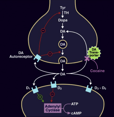 MECHANISM 2