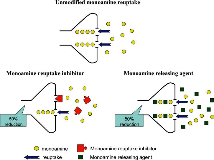 Mechanism 2