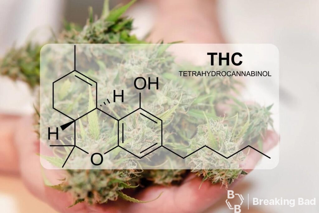 What is THC