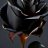 Roz black
