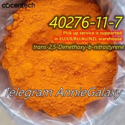 2,5-Dimethoxy-beta-nitrostyrene CAS 40276-11-7