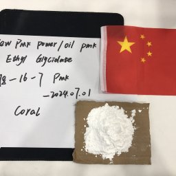 CAS：28578-16-7 New Pmk Powder/Oil Pmk Ethyl Glycidate