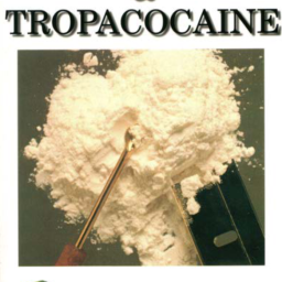 Otto Snow. THC and Tropacocaine. 2004