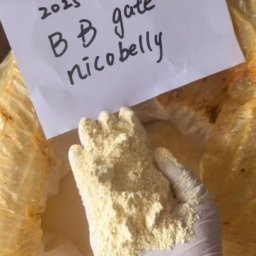 New BMK ethyl glycidate Powder CAS 5449-12-7