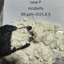 New PMK CAS 1369021-80-6 1,3-Benzodioxole-5-acetic acid, α-acetyl-, methyl ester