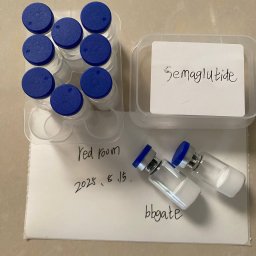 Ozempic (semaglutide) CAS: 910463-68-2