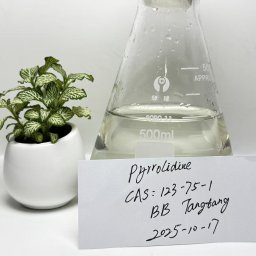 CAS: 123-75-1  Pyrrolidine