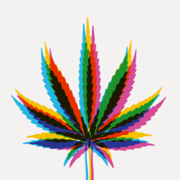 Jon Heidt, Johannes Wheeldon. Visions of Cannabis Control. 2023
