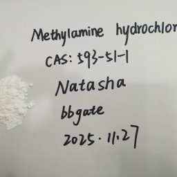 CAS: 593-51-1, Methylamine hydrochloride