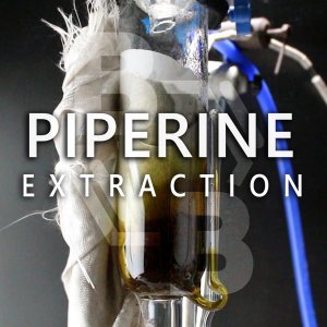 Piperine Extraction