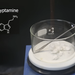 Tryptamine Synthesis From L-Tryptophan